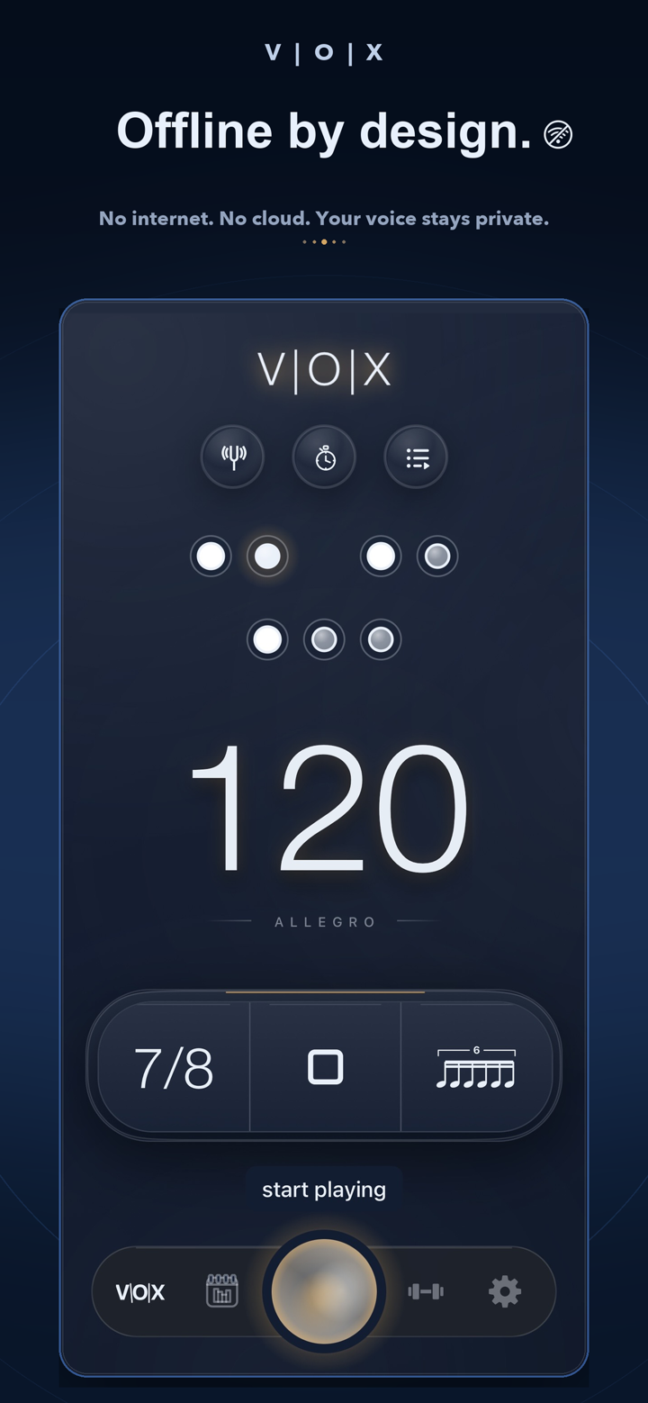 Offline and private voice recognition